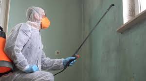 Best Mold Prevention Services in Massapequa, NY