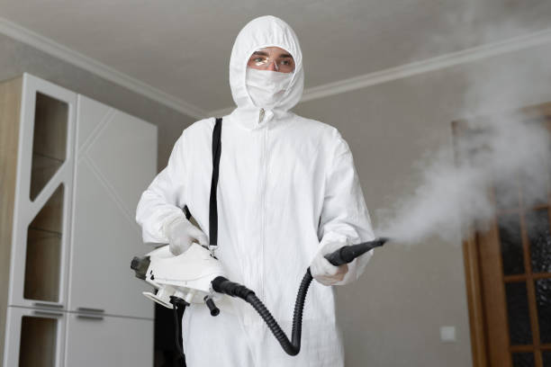 Mold Odor Removal Services